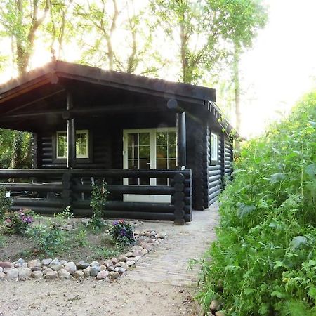 Knusse En Gezellige Blokhut De Bijenstal Vila Dedemsvaart Exterior foto