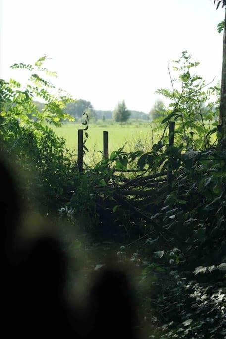 Knusse En Gezellige Blokhut De Bijenstal Vila Dedemsvaart Exterior foto